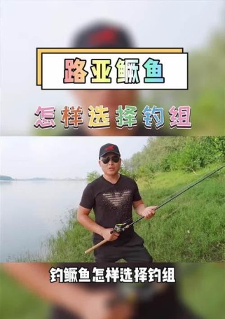 探讨以路亚竿不用漂能钓鱼的可行性（挑战传统，以路亚竿钓鱼的新趋势）