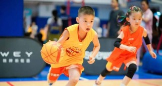 培养幼儿园大班幼儿的排球兴趣和技能（以大班幼儿排球为载体，促进全面发展）