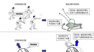 徒手颠球动作要领（掌握颠球技巧，成为排球高手）