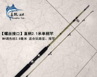 探讨海杆和路亚竿的钓鱼效果（以海杆好钓鱼还是路亚竿好？——比较它们的优劣势）
