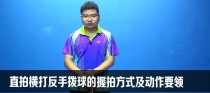 乒乓球反手发球技巧详解（掌握反手发球的关键要点，提升乒乓球技术水平）