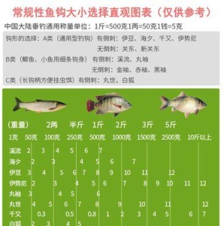 探究路亚钓鱼串钩吊坠的理想重量（重量选择对路亚钓鱼的影响及最佳重量的选取）