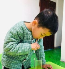 如何用乒乓球投杯子——掌握技巧教程（简单易学，让你成为乒乓球投杯高手！）