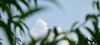 田间垂钓探秘（以路亚竿在田间垂钓，钓到丰收的秘诀揭示）