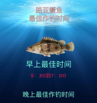 探寻钓鱼乐趣的户外嘉年华（以dou为核心，领略路亚钓鱼的魅力）