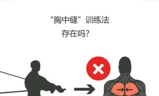 游泳仿生学训练方法与技巧（提升游泳技术的关键）