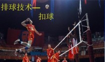 掌握排球基本动作要领，提升技术水平！（从零开始学习排球基本动作，轻松掌握技巧！）