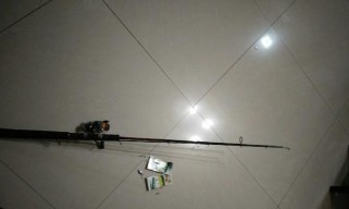 选择路亚还是台钓？新手钓鱼技巧指南（从钓具选择到技巧应用，帮你决定最适合自己的钓法）