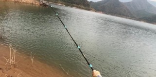 探讨钓场禁止路亚钓鱼的原因（为什么有些钓场禁止路亚钓鱼？-揭秘禁路亚钓鱼的关键原因）