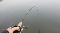 三河口钓鱼之路亚技巧大揭秘（探寻三河口钓鱼新玩法，路亚钓法助你大获丰收）