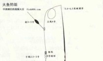 掌握路亚钓鱼快速调漂的技巧（如何调整路亚钓鱼漂的速度和姿态，以提高钓鱼效果）