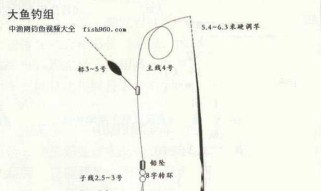 掌握路亚钓鱼快速调漂的技巧（如何调整路亚钓鱼漂的速度和姿态，以提高钓鱼效果）