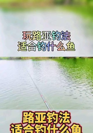 探索海底世界的乐趣——路亚海钓的新玩法（以路亚海钓，畅游海洋，尽享捕鱼乐趣）