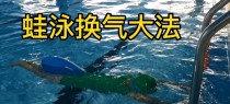 如何提高以蛙泳游泳考试技巧（掌握蛙泳频率的关键技巧）