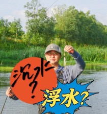 溪水中的路亚钓鱼秘籍（挥动魔竿，扬起鱼腾舞的乐章）