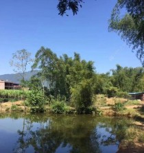 开阳上坝生态钓鱼山庄（探索山庄内丰富的路亚钓鱼资源，尽情畅游于大自然之中）