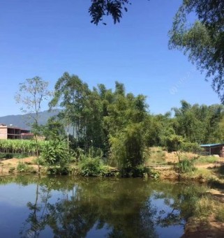 开阳上坝生态钓鱼山庄（探索山庄内丰富的路亚钓鱼资源，尽情畅游于大自然之中）
