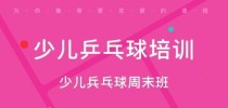 探讨绘本乒乓球比赛技巧（揭秘绘本乒乓球比赛的技巧与策略）