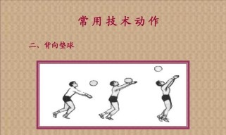 掌握徒手排球传球的技巧与要领（打造高效传球，提升整体球队实力）