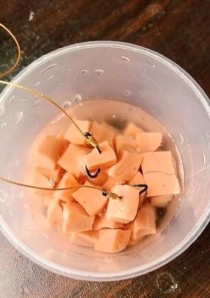 以路亚竿钓鱼的绝佳选择——挂火腿肠（如何使用火腿肠来吸引鱼群，提高钓鱼成功率）