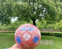 足球考试技巧总结表格模板及应用指南（提高考试效率，轻松备战足球考试）