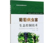 乒乓球葡萄种植的技巧与方法（掌握乒乓球葡萄种植的关键，打造丰收的园地）