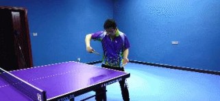 乒乓球反手陪练技巧的讲解（提升乒乓球反手水平的实用方法）