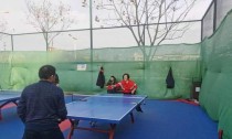 探寻扬州乒乓球马家乐的传奇之路（马家乐）