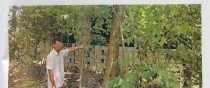 篮球防守大师刘某的技术与成就（揭秘刘某的防守秘笈与成功之道）