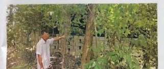 篮球防守大师刘某的技术与成就（揭秘刘某的防守秘笈与成功之道）