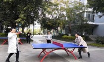 乒乓球科学技巧解析（掌握乒乓球科学技巧，提升球技水平）