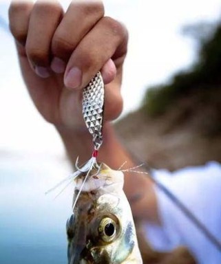 探寻江河路亚钓鱼的最佳时机（揭秘江河路亚钓鱼的关键时刻及技巧）
