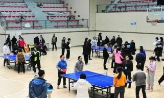 乒乓韵律（乒乓球与音乐的完美融合，为你带来无尽动感活力）