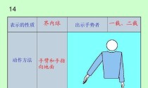 掌握排球五种步法动作要领，提升技术水平（从初学者到专业选手，关键是掌握好这五个步法！）