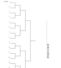 乒乓球单打规则解析（掌握乒乓球单打规则的关键要点）