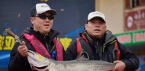 揭秘犹江钓鱼（探索犹江江钓鱼的路亚鱼种及技巧）