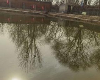 探索仑苍英都路亚钓鱼地点的乐趣（畅游鱼塘，体验路亚钓鱼的神奇世界）