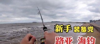 路亚钓鱼的关键技巧——持续抛投的重要性（从技术角度探究路亚钓鱼中的连续投放动作）