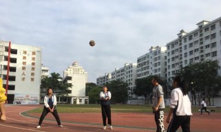 掌握排球抛球垫球的关键要领（打造稳定准确的抛球垫球动作）