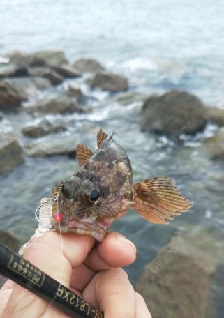 海边路亚钓鱼（在海浪拍岸的怀抱中，放松心情，体验路亚钓鱼的乐趣）