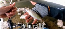 玩转路亚钓鱼，尽享河中乐趣（掌握最佳技巧，让你成为河里的钓鱼高手）