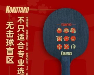 乒乓球进阶速成技巧（掌握关键技巧，迅速提高乒乓球水平）