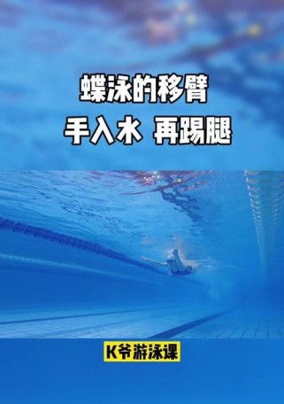 40秒游泳训练方法与技巧（提升游泳速度，享受高效训练）