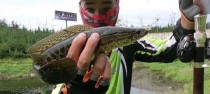 探索以野河用路亚钓鱼的最佳饵料选择（挑选合适的饵料，成就你的钓鱼乐趣）