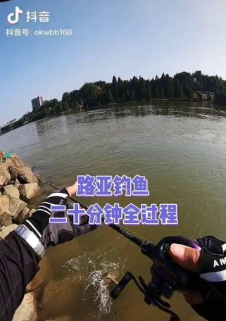 路亚钓鱼的奇妙结局（探索钓鱼的乐趣与技巧）