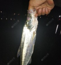 瀑布排水口下路亚钓鱼的技巧与心得（探寻河底宝藏，畅享钓鱼乐趣）