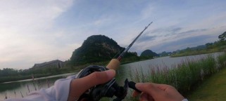 早上几点是最佳路亚钓鱼时间？（探寻钓鱼黄金时间段，享受早晨宁静）