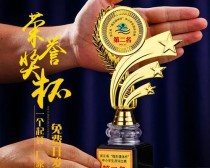 乒乓球中国金银铜的辉煌历程（羽化彩蝶赤子之心）