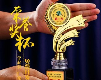 乒乓球中国金银铜的辉煌历程（羽化彩蝶赤子之心）