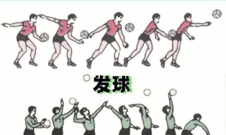 排球发球动作的技巧与要领（掌握正确的发球姿势和技术，提高排球发球的准确性与稳定性）